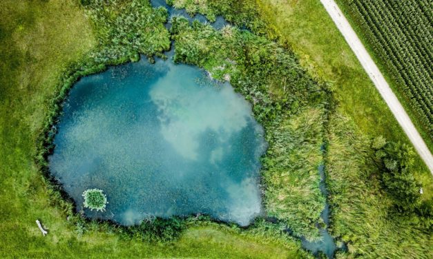 Yardbird.dk dronefotograf