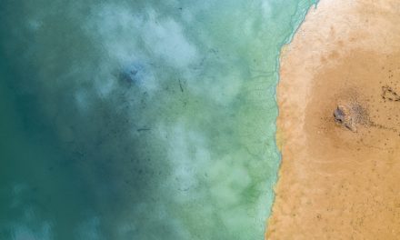 dronefotonord.dk dronefotograf